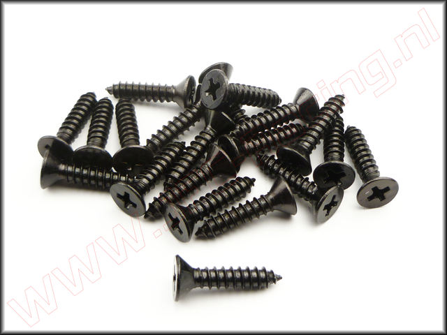 FG 6712/19, Parker Kruis Verzonken Kop (4,2 X 19 mm) 20st.
