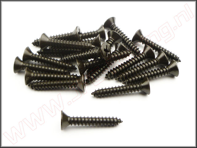 FG 6712/25, Parker Kruis Verzonken Kop (4,2 X 25 mm) 20st.