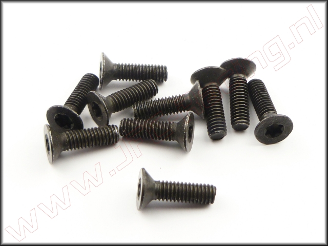 FG 6920/14, Torx Verzonken Kop (M4 x 14mm)10st.