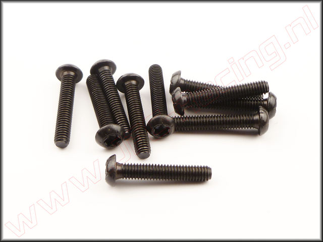 FG 6925/22, Torx Bopkopschroef (M4 x 22mm) 10st.